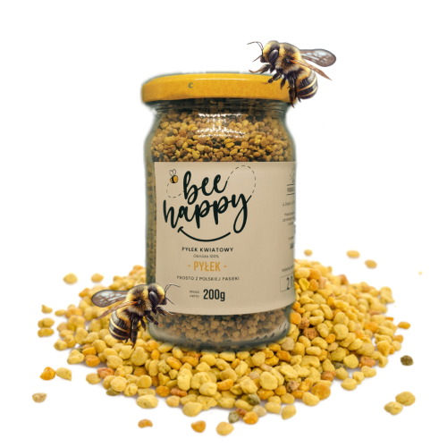 pyłek pszczeli pasieka u czajesia prawdziwy pyłek kujawski pyłek zdrowie miód skoczylas miody kujawska pasieka.png