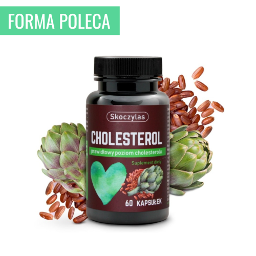 Skoczylas Cholesterol Miażdżyca Serce Monokalina