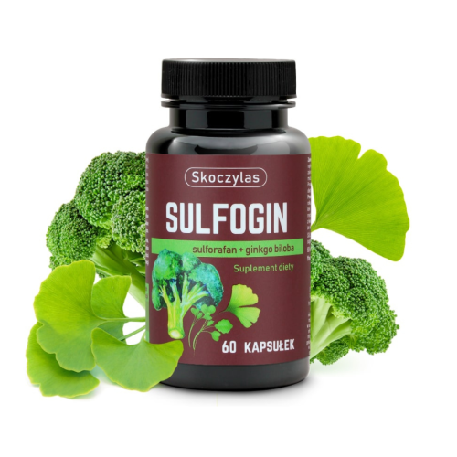 Skoczylas Sulfogin sulforafan + ginkgo biloba 60 kaps. / pamięć, koncentracja, krążenie, antyoksydacyjne działanie, stany zapalne
