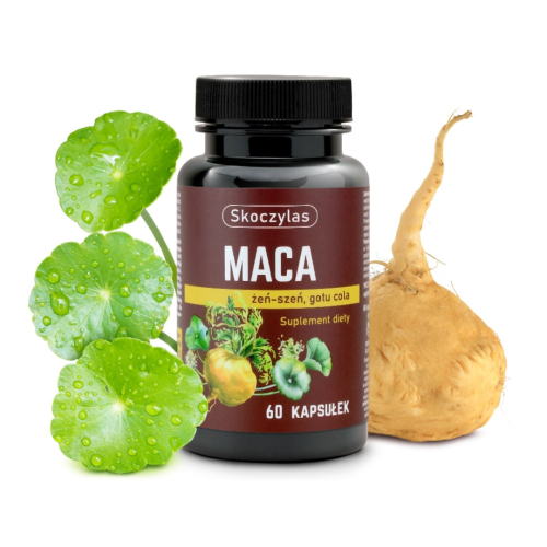 Skoczylas Maca + Żeń-szeń + Gotu cola 60 kaps. / hormony, libido, energia, adaptogen, menopauza, układ sercowo-naczyniowy