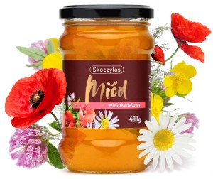Skoczylas MIÓD wielokwiatowy 400g