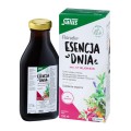 pol_pl_Floradix-ESENCJA-DNIA-plyn-250-ml-19599_1.jpg
