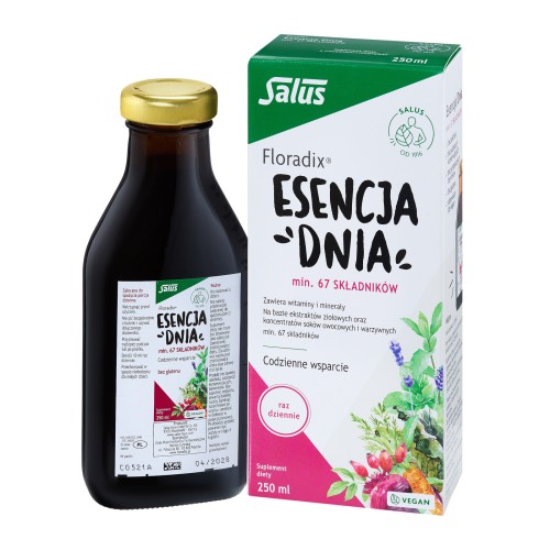pol_pl_Floradix-ESENCJA-DNIA-plyn-250-ml-19599_1.jpg