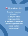 Treonian_magnezu_Magtein__Biowen-czy-wiesz-ze.webp