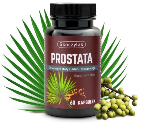 skoczylas prostata dr na prostate.jpg